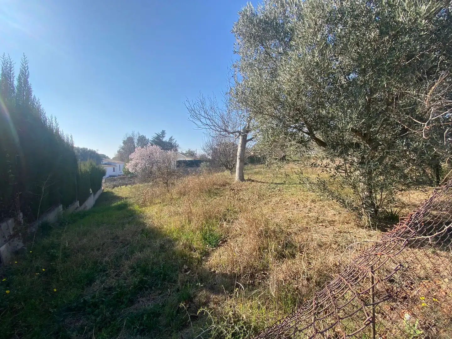Terreny residencial en venda a Sant Antoni de Vilamajor, imagen 7