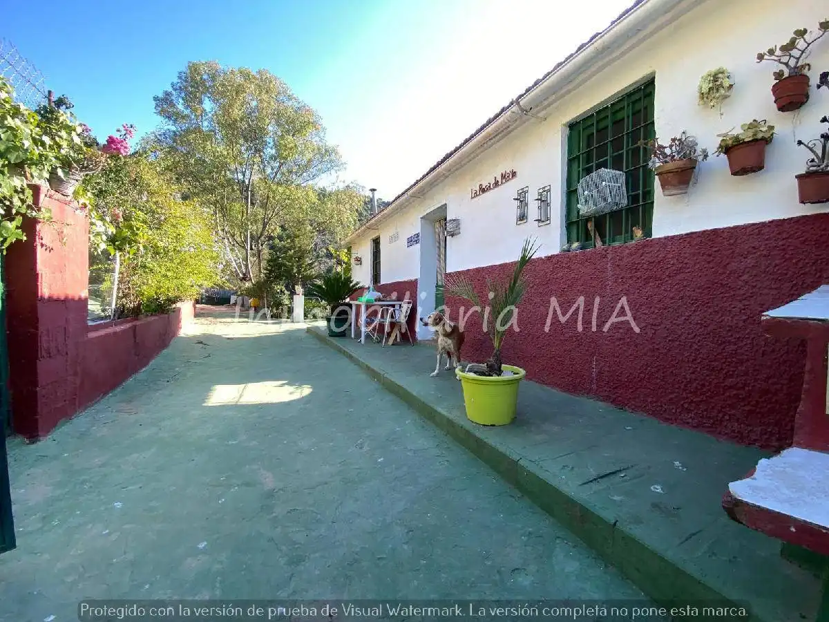 Vista exterior de Casa o xalet en venda en Málaga