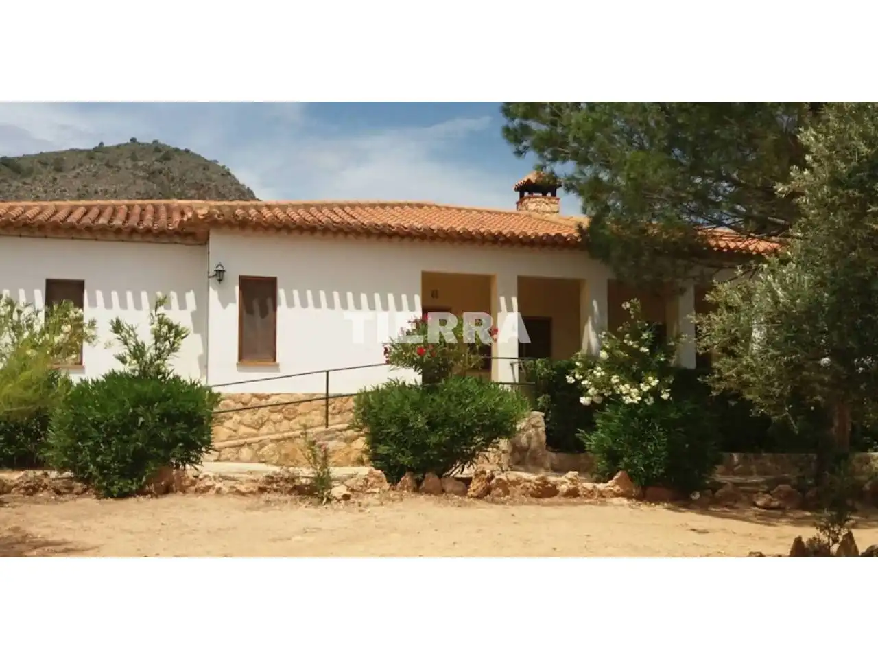 Exterior view of Buildings for sale in Socovos