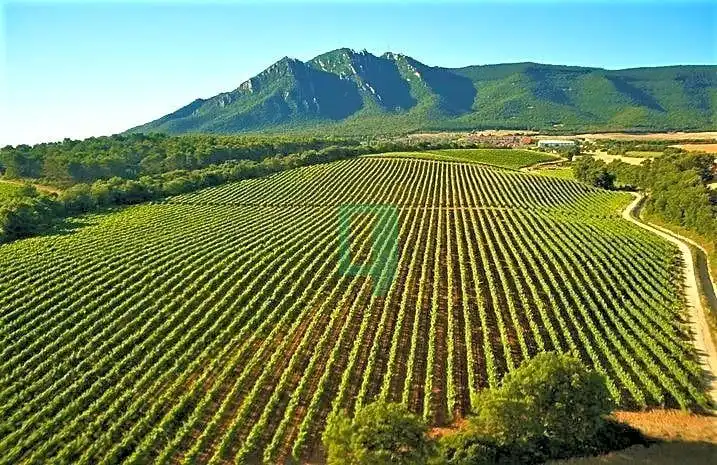 Vista exterior de Casa o chalet en venta en Ayegui / Aiegi con Jardín privado