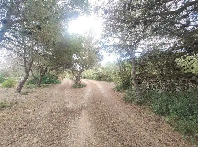 Xalet amb jardí en venda a Cala Blanca, imagen 26