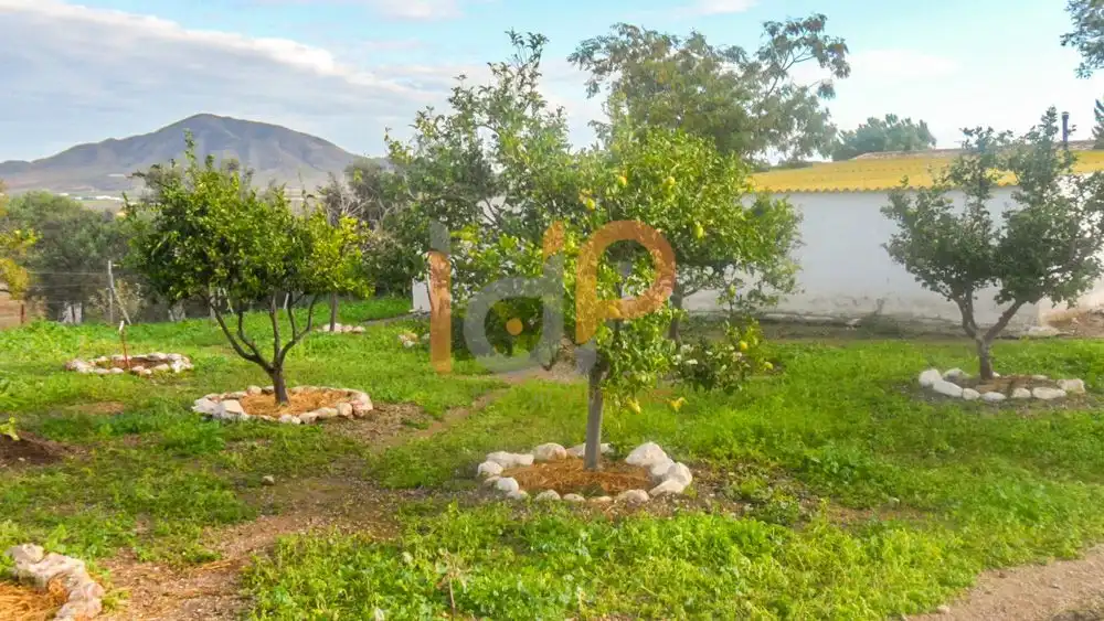 Casa en venta en Huércal-Overa, imagen 5
