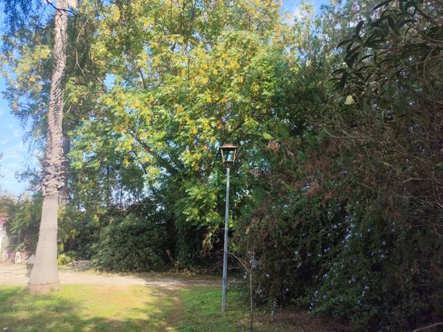 Casa-chalet en Venta en Calle Arroyo Zorrero en Palomares del Río