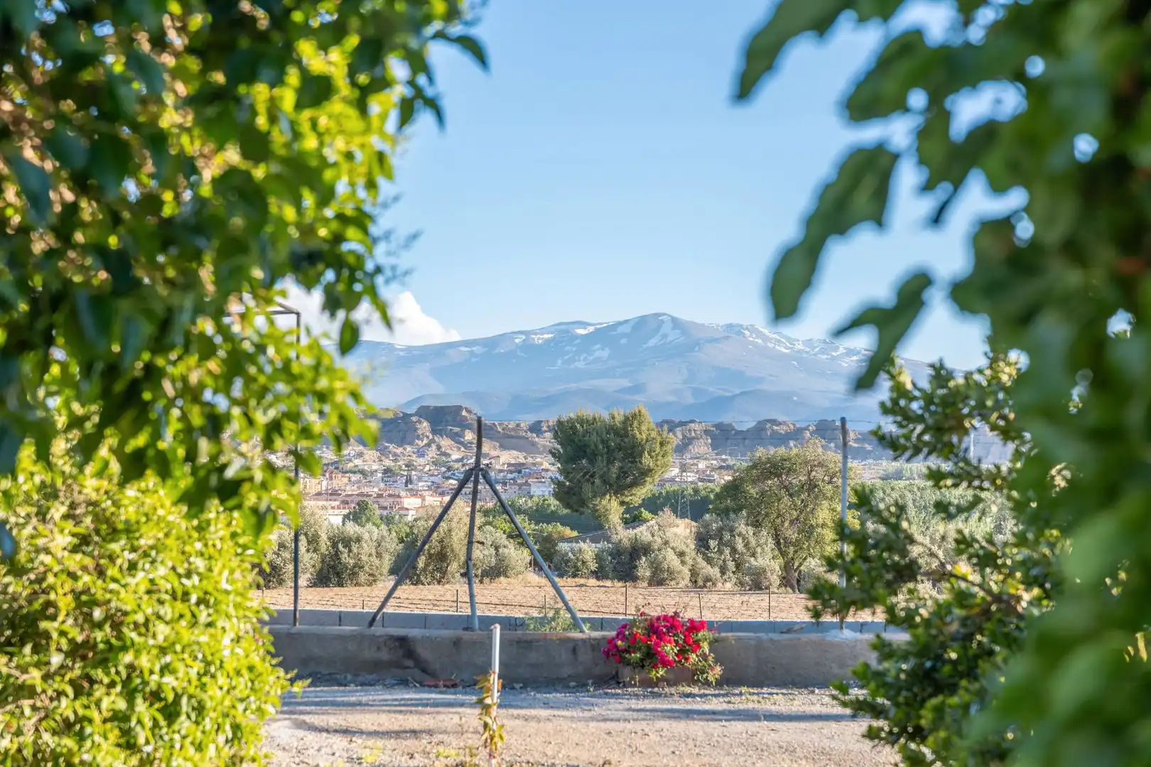 Jardí de Casa o xalet en venda en Guadix amb Aire condicionat, Calefacció i Jardí privat