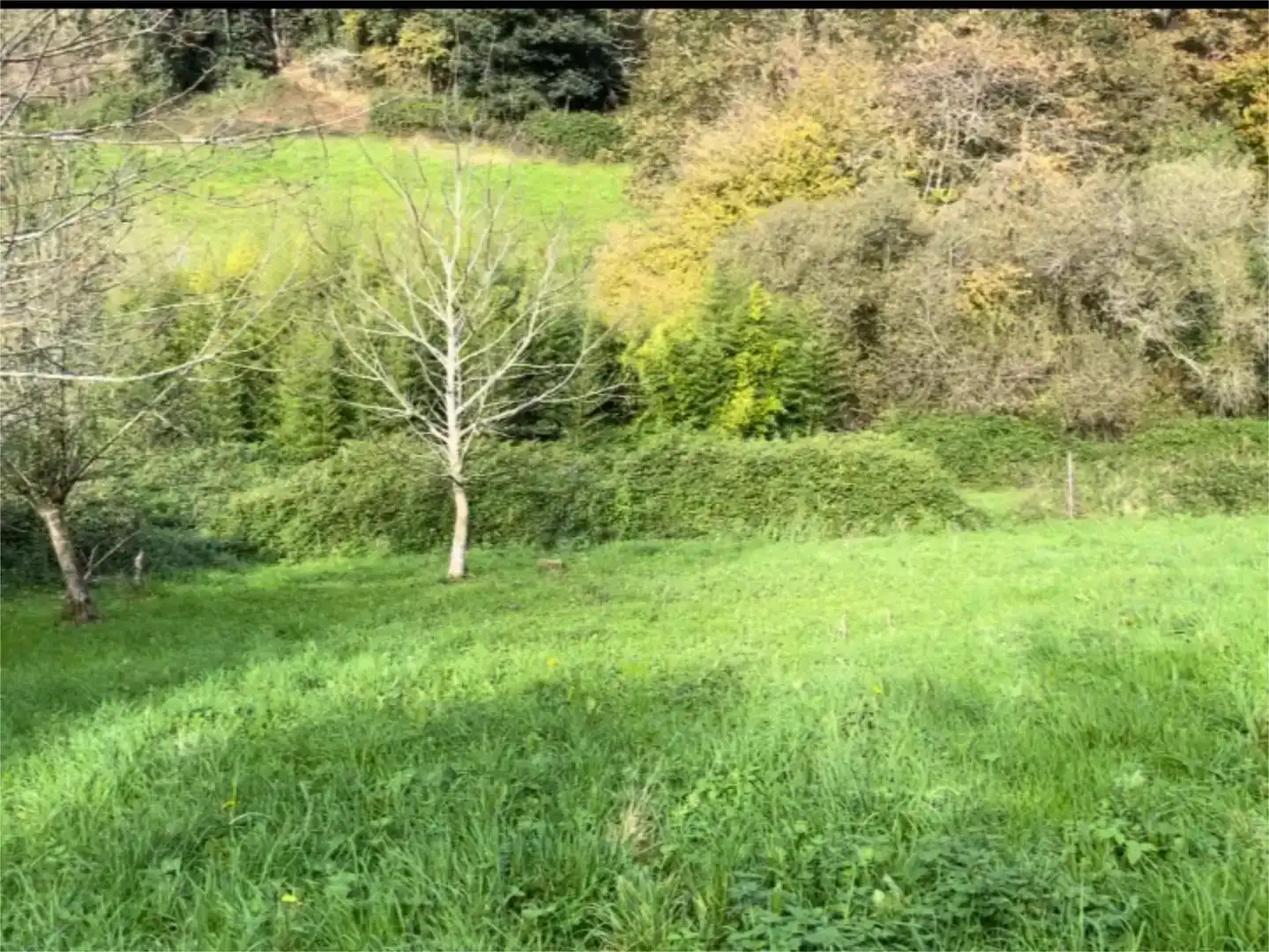 Piso en venta en Limpias con Jardín privado