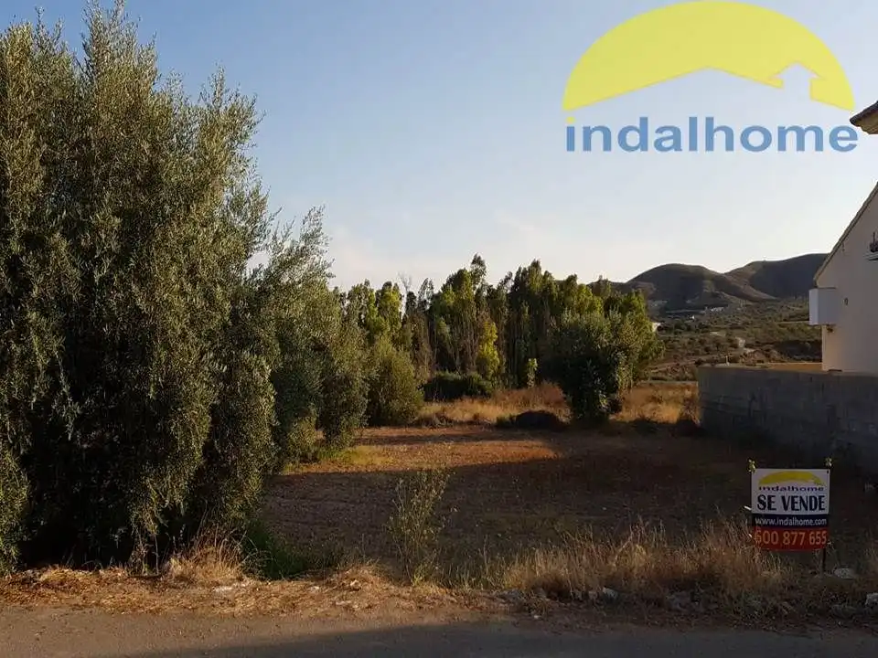 Terrenos y solares en venta en Sorbas, imagen 3
