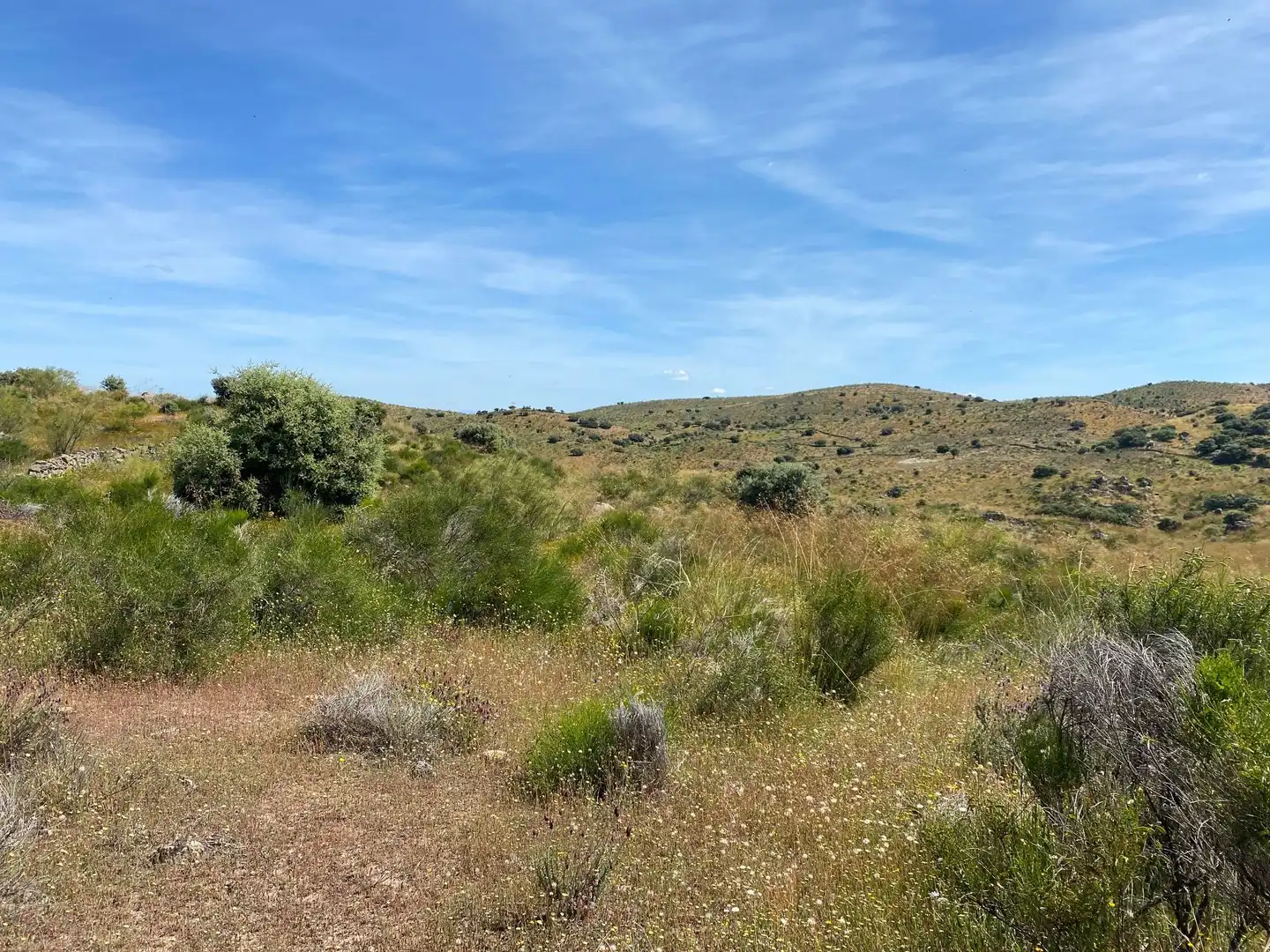 Terreni e lotti in vendita a Villar del Pedroso, imagen 35