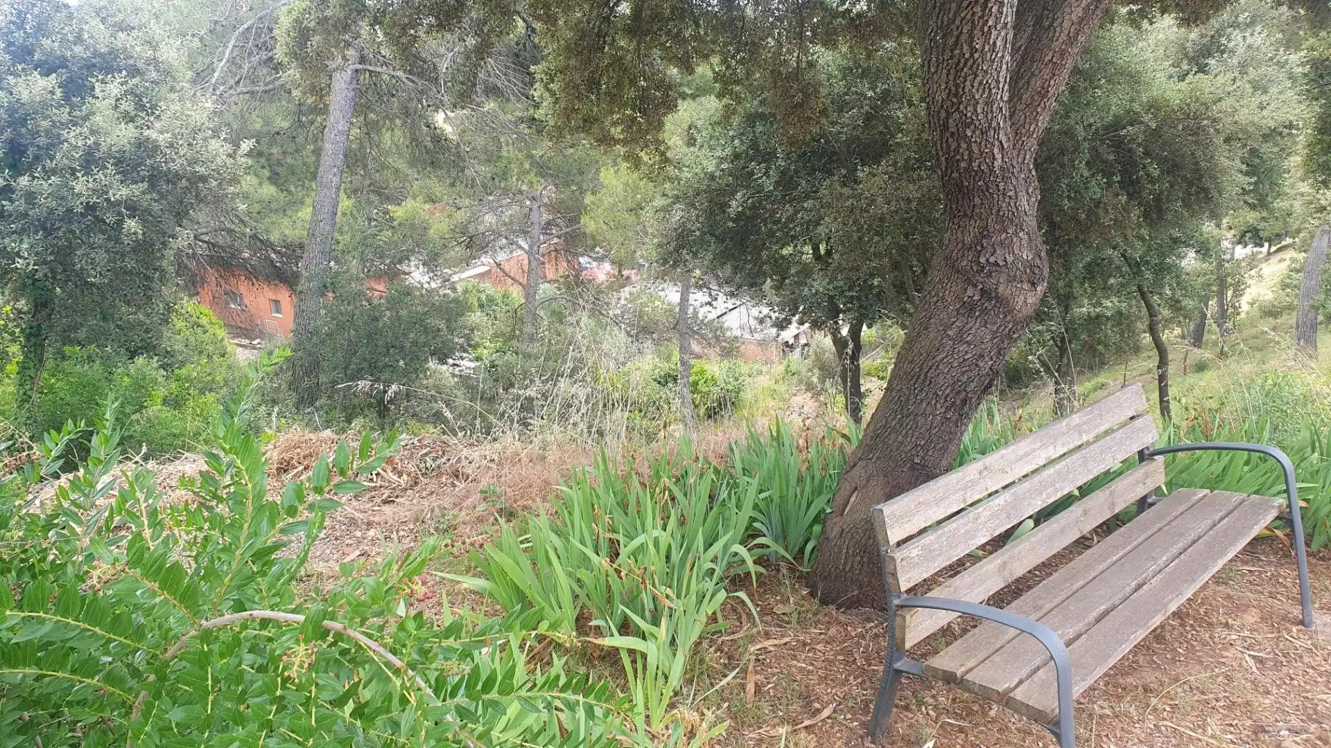 Garden of Residential for sale in Castellnou de Bages