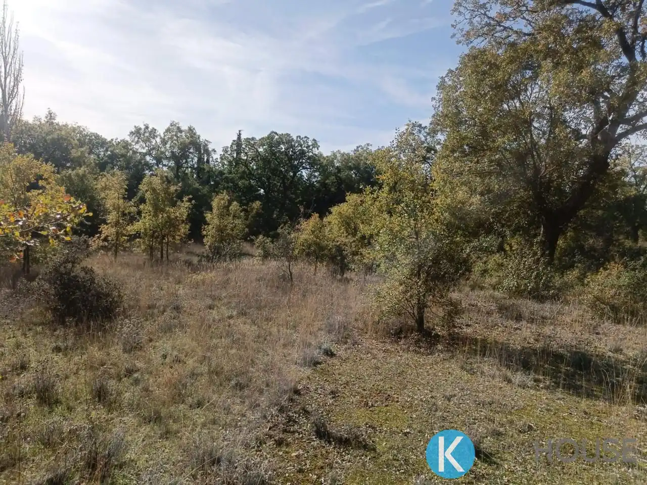Land for sale in Pastrana