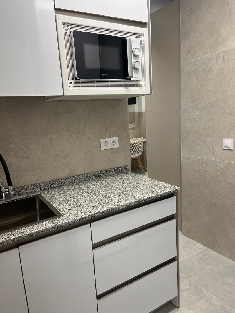 Estudio de alquiler en Opañel