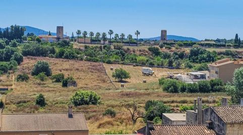 Foto 5 de Casa o xalet en venda a Santa Margalida Poble, Santa Margalida