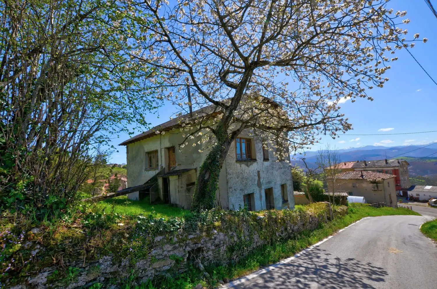 Vista exterior de Casa o chalet en venta en Tineo con Piscina