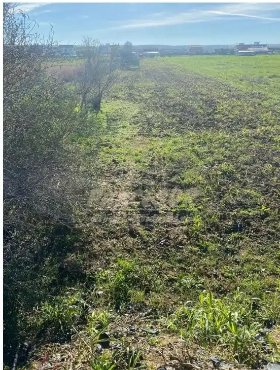 Land for sale in Almodóvar del Río