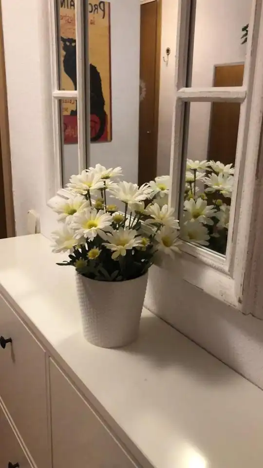 Schlafzimmer von Wohnung zur Miete in Madrid mit Klimaanlage, Heizung und Möbliert