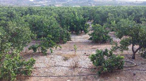 Photo 4 of Country house for sale in Montroi / Montroy, Valencia