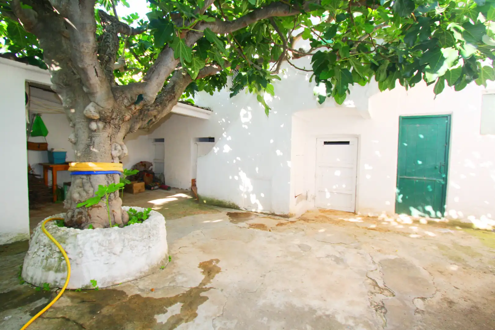 Vista exterior de Casa o chalet en venta en Albacete con Calefacción, Jardín privado y Terraza