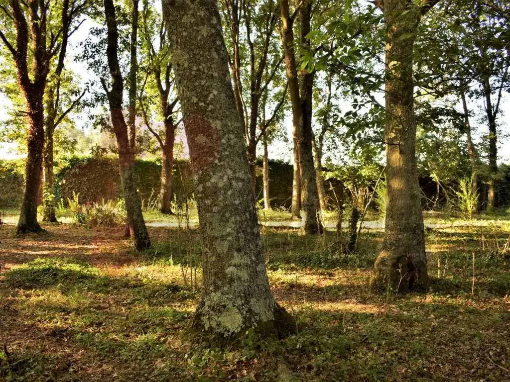 Casa o xalet en venda a Rábade