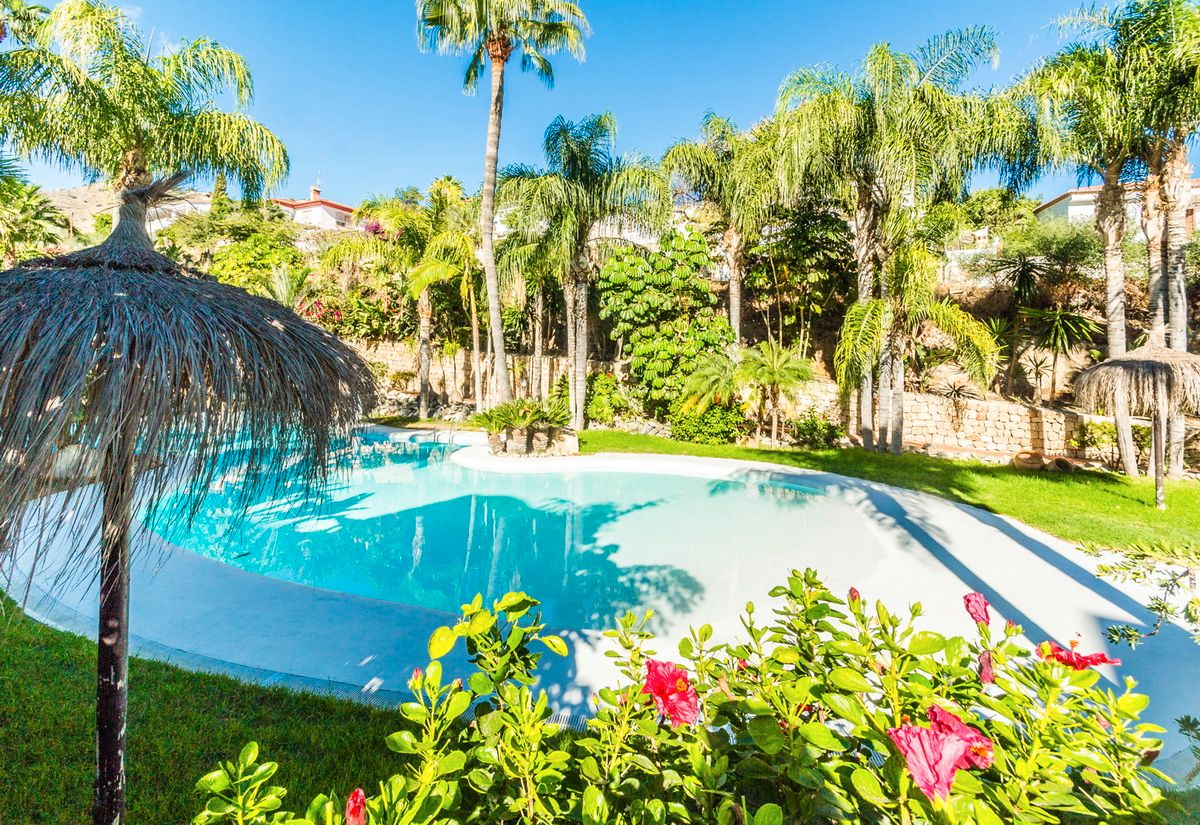 Swimming pool of Apartment to rent in Almuñécar  with Furnished