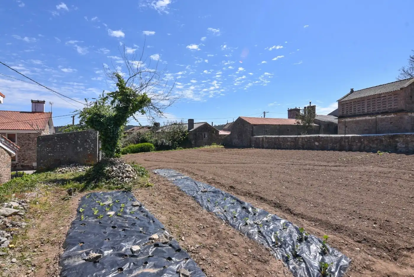Terreny residencial en venda a Lugar QUEO ABAIXO, imagen 3