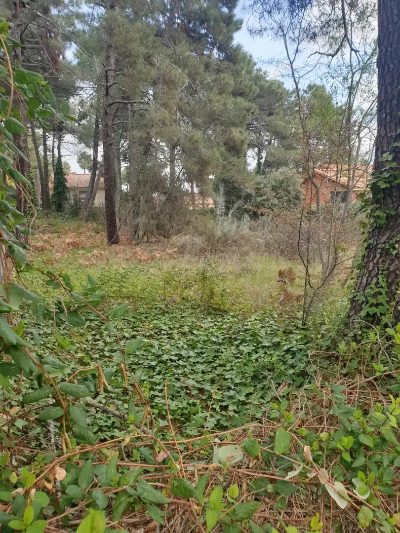 Residential land for sale in Avenida San Sebastián