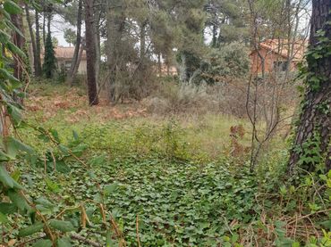 Terreno residencial en venta en Avenida San Sebastián