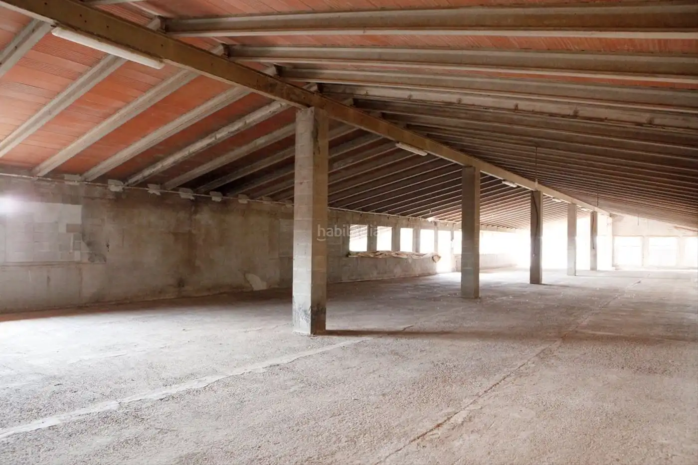 Nave industrial en alquiler en Vial Camino 58, imagen 4