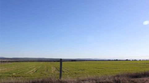 Photo 3 of Land for sale in N-620, 335, Carpio de Azaba, Salamanca