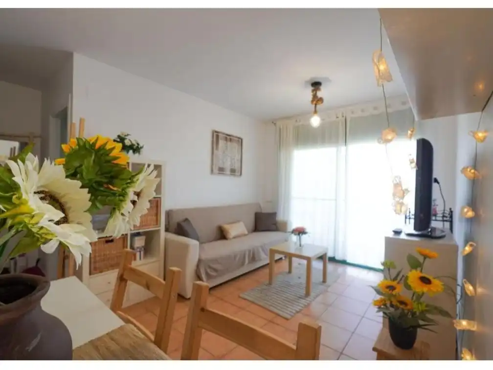 Sala d'estar de Apartament en venda en Amposta amb Aire condicionat, Terrassa i Balcó