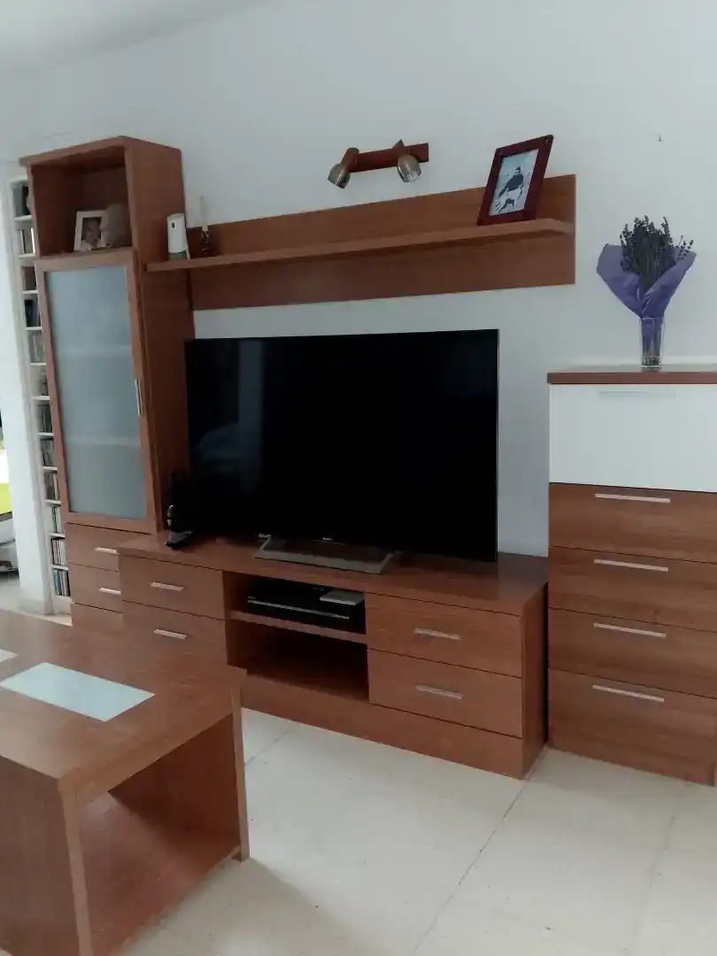 Living room of Apartments for rent in Juzgados - Plaza de Toros