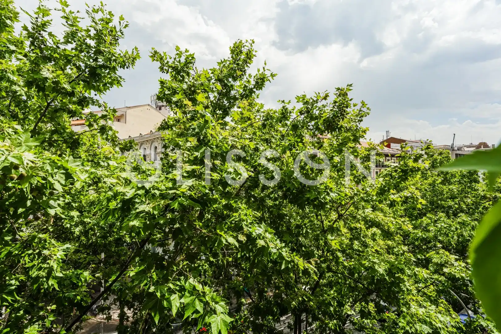 Piso con ascensor en venta en Centro, imagen 16