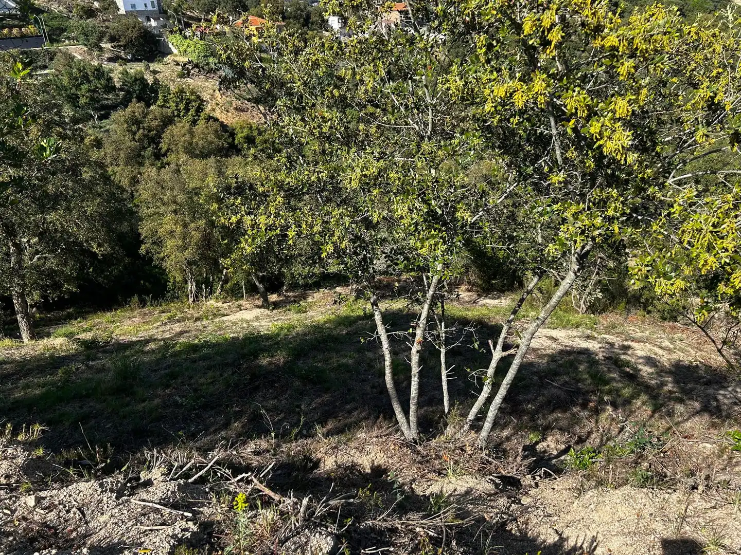 Wohnbaugrundstück zum Verkauf in Lloret Residencial - Montlloret, imagen 9
