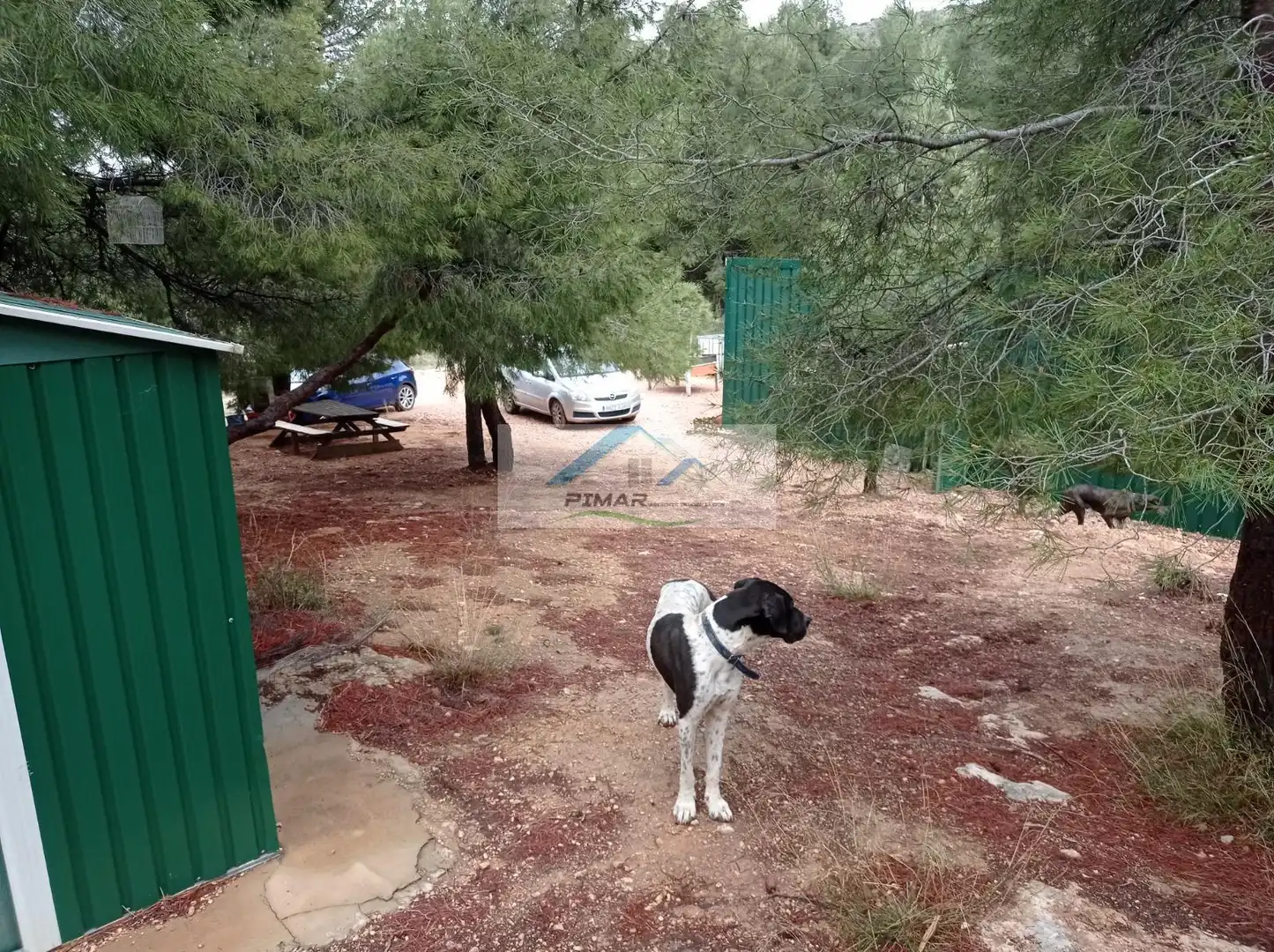 Terrenys i solars en venda a Monóvar  / Monòver, imagen 11