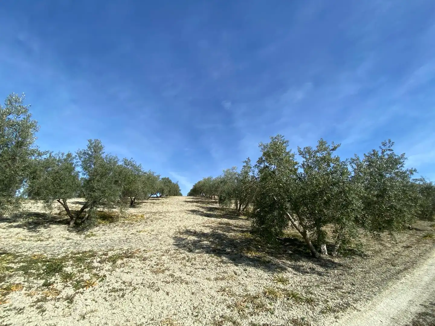 Terreno en venta en Villanueva Mesía