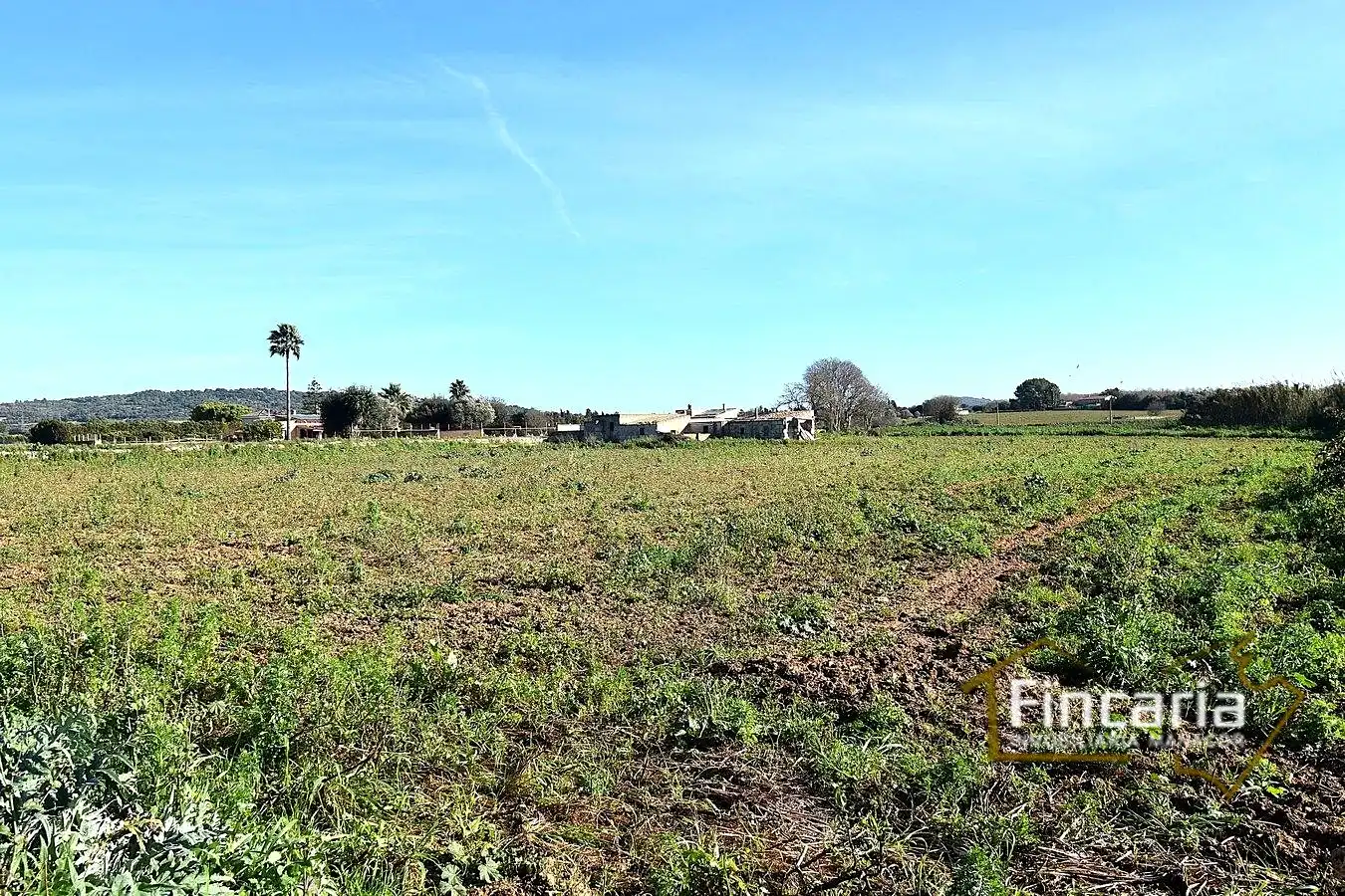 Country house zum Verkauf in Manacor
