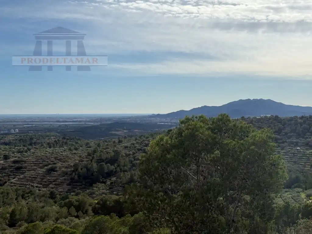 Country house for sale in Poligono 82 Paraje 6 Camp-Redo, imagen 4
