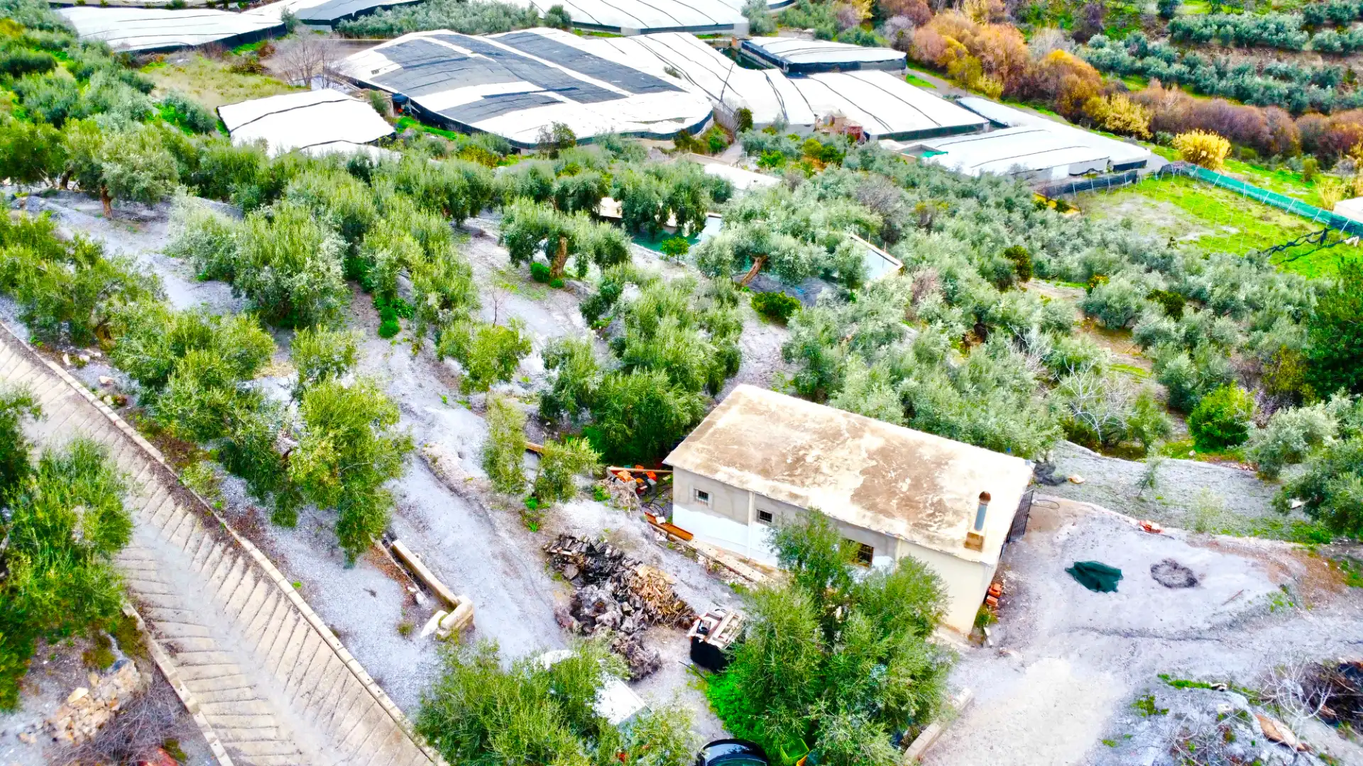 Terreni e lotti in vendita a Lugar Cortijo El Peñon, imagen 42