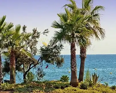 Casa o chalet en venta en Torrox con Terraza