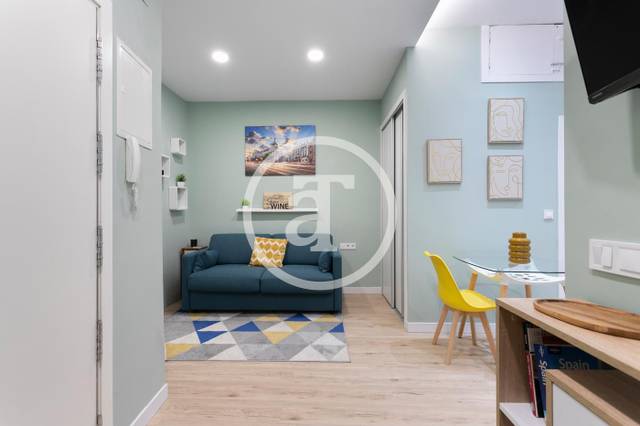 Estudio en Alquiler en Tr.ª de la Parada en Universidad - Malasaña