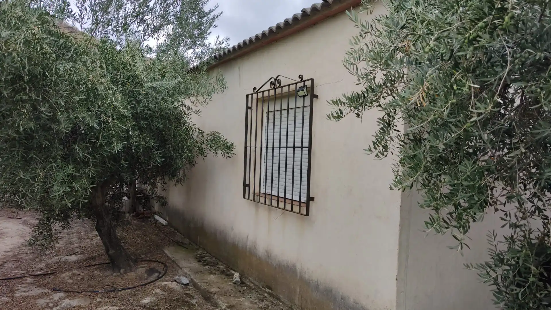 Garten von Grundstücke zum Verkauf in Suflí