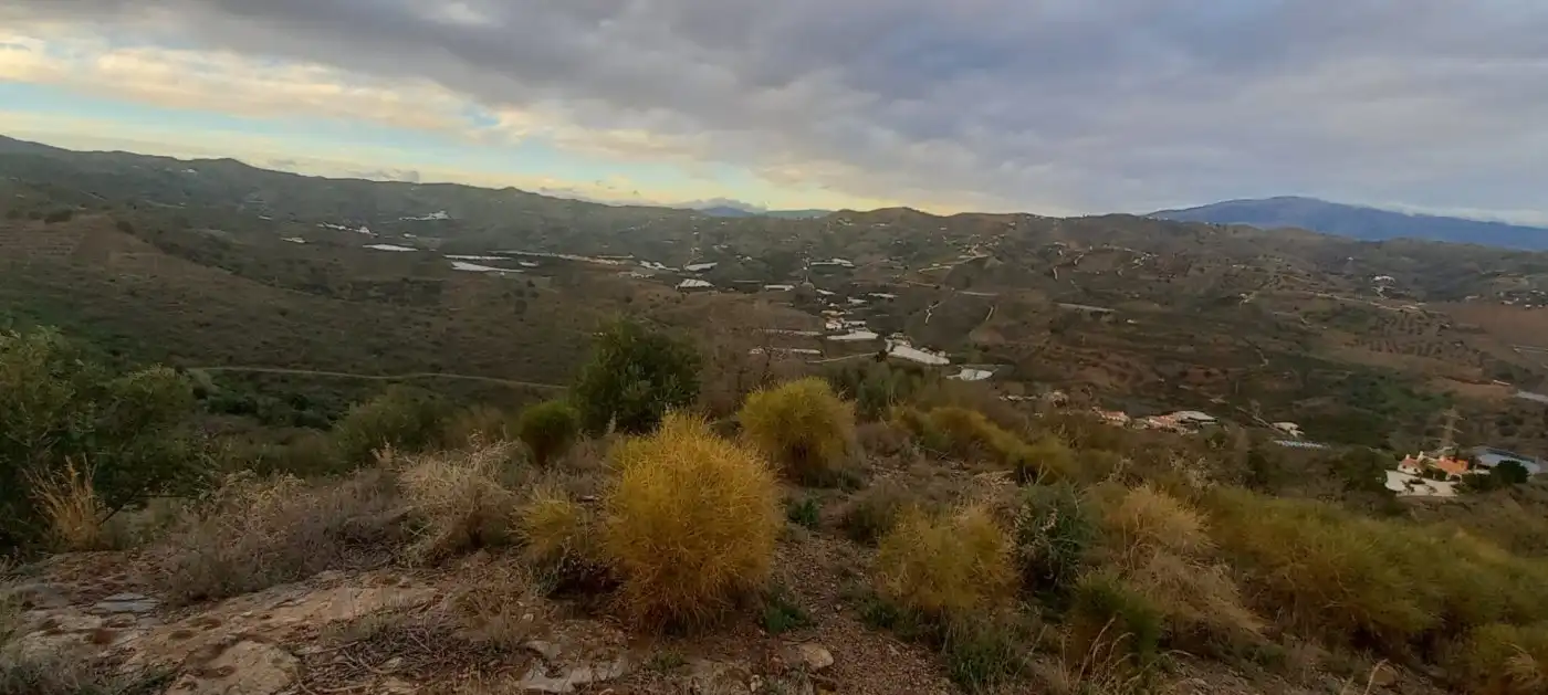 Terreni e lotti in vendita a Benajarafe, imagen 13