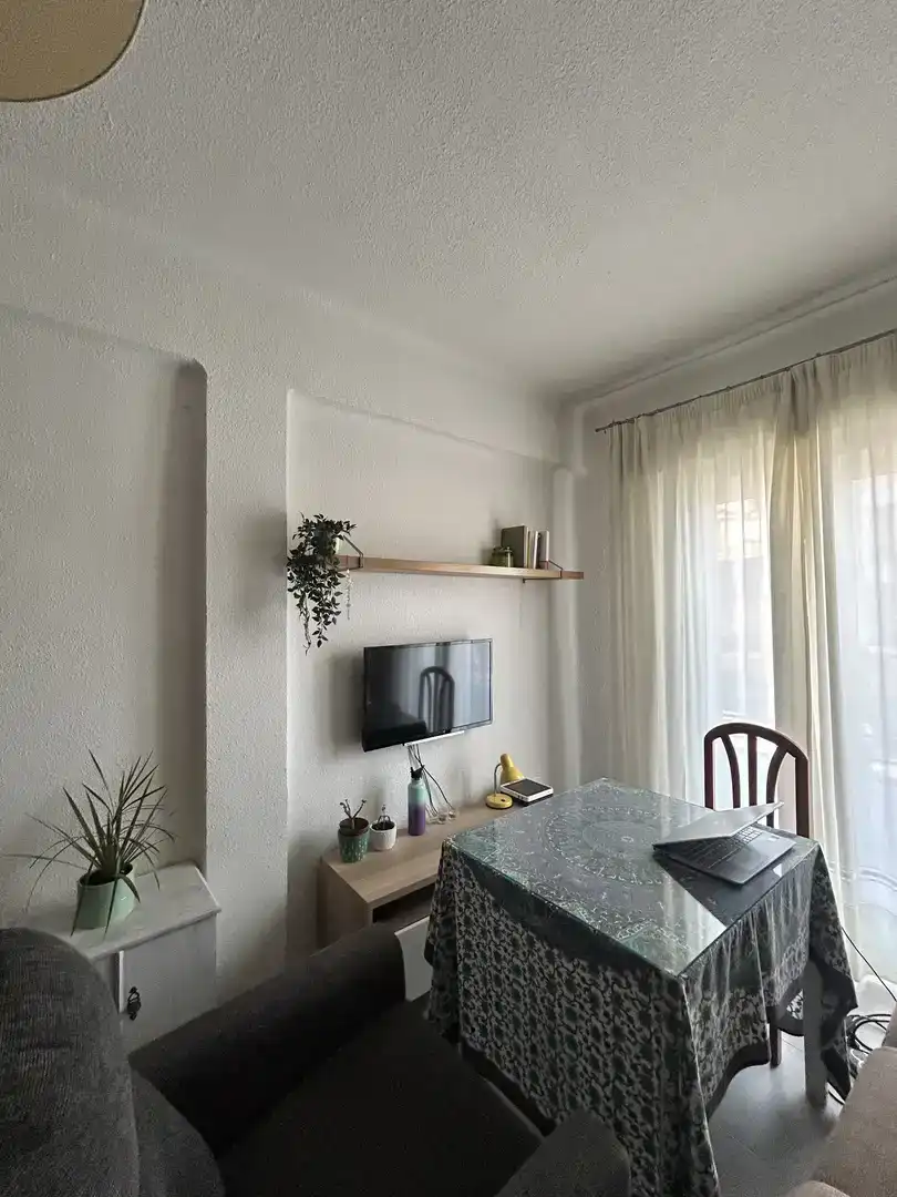 Sala d'estar de Pis de lloguer en Zaidín