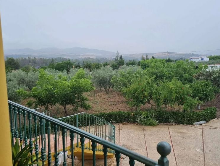 Jardí de Casa o xalet en venda en Coín amb Aire condicionat, Jardí privat i Terrassa