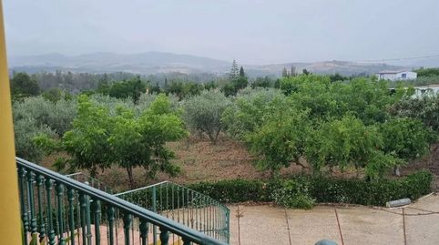 FINCA RUSTICA EN COIN, imagen 3