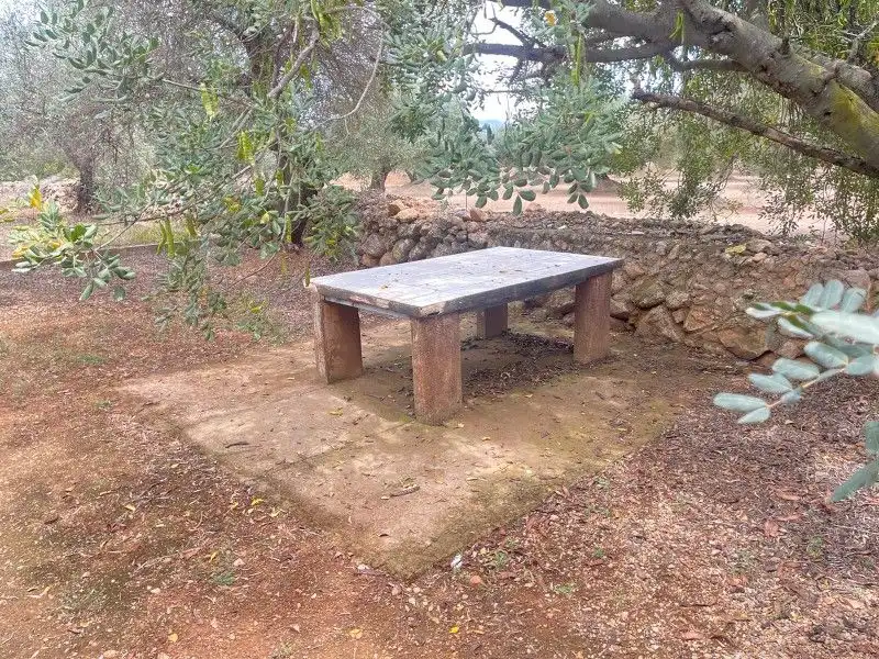 Terreno rustico in vendita a Plaça del Regne d'Espanya 8, imagen 11