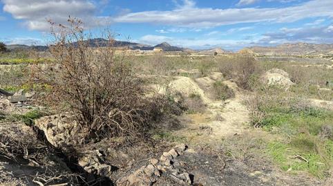 Photo 4 of Industrial land for sale in Ceutí, Murcia