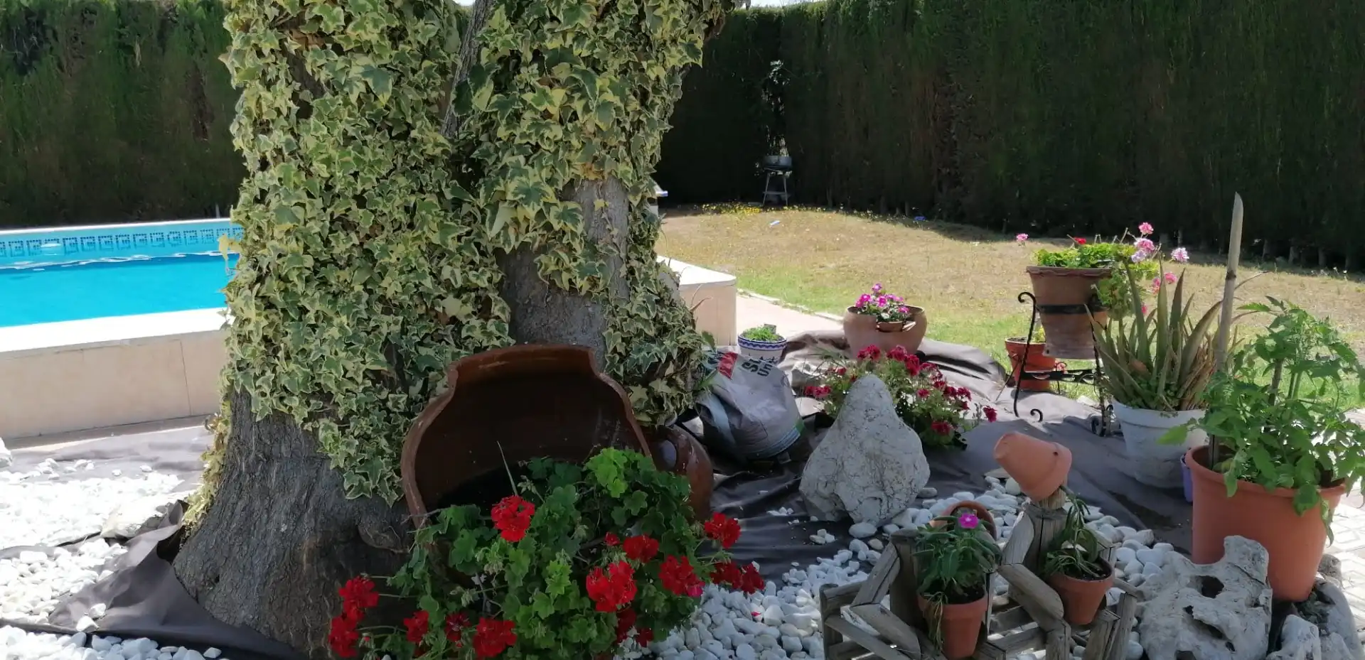 Terreno rustico in vendita a Cabra, imagen 2