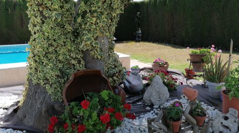 Immagine 2 dell'annuncio