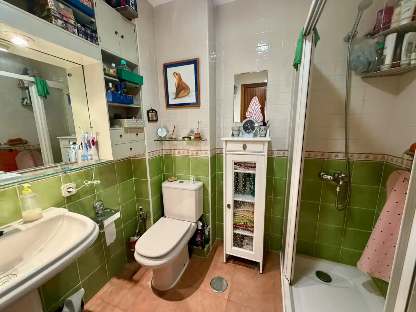 Appartement à vendre à PARROCO DON EMILIO FRANCO, imagen 30