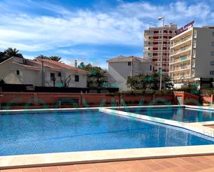 Swimming pool of Apartment to rent in Benicasim / Benicàssim  with Air Conditioner, Terrace and Furnished