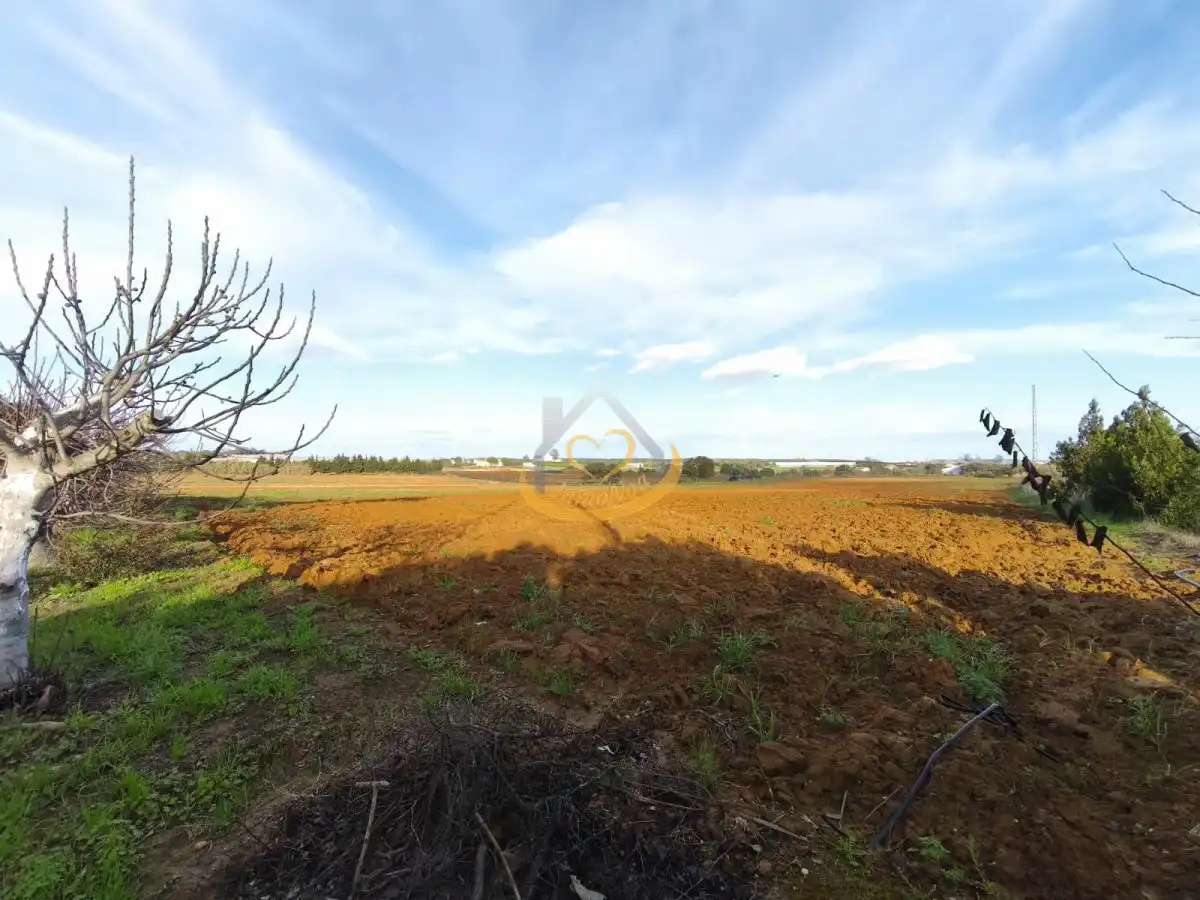 Terrenos y solares en venta en Núcleo urbano, imagen 49